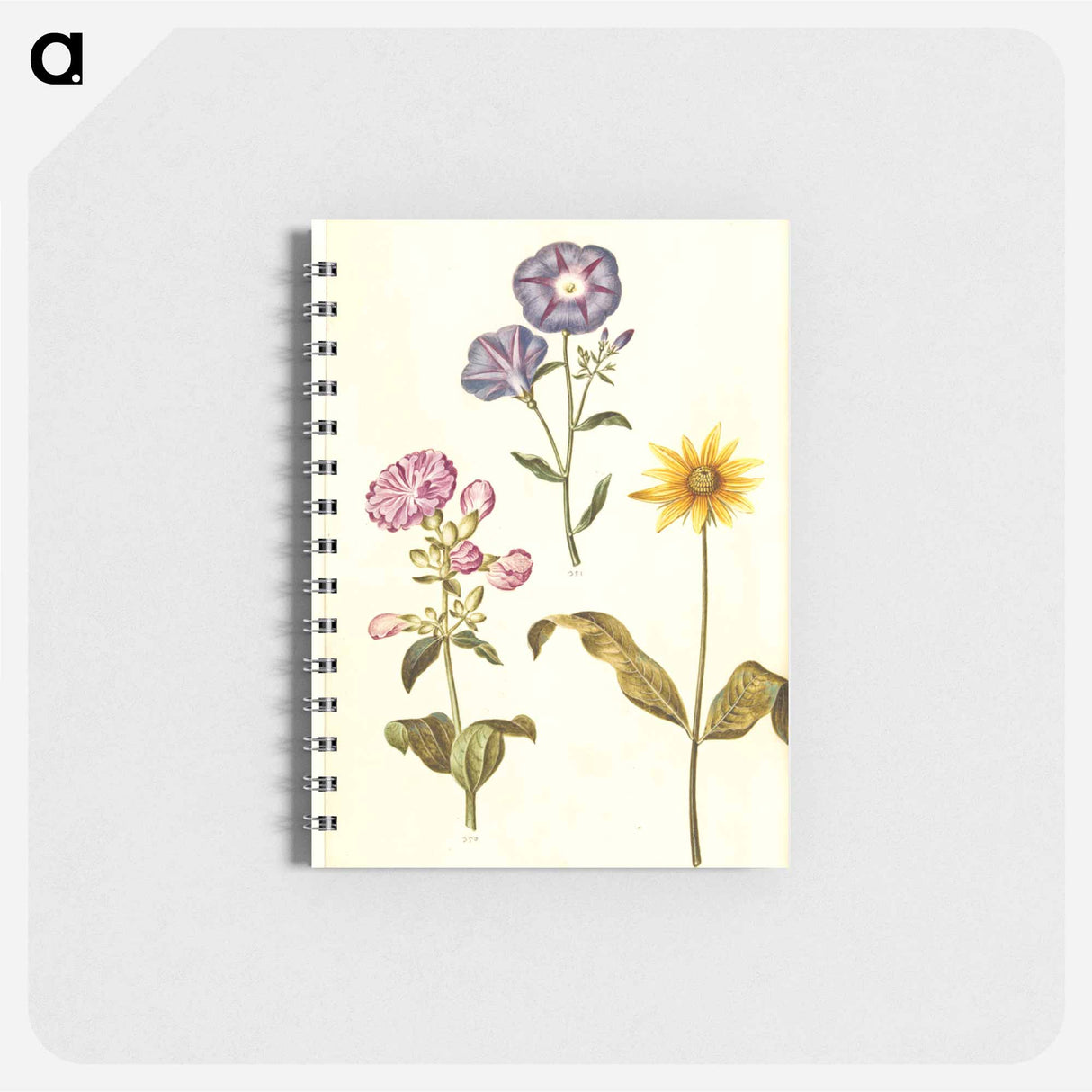 アートメモ帳-Saponaria, Convolvulus, and Helianthus
- マリア ジビーラ メーリアン Memo.