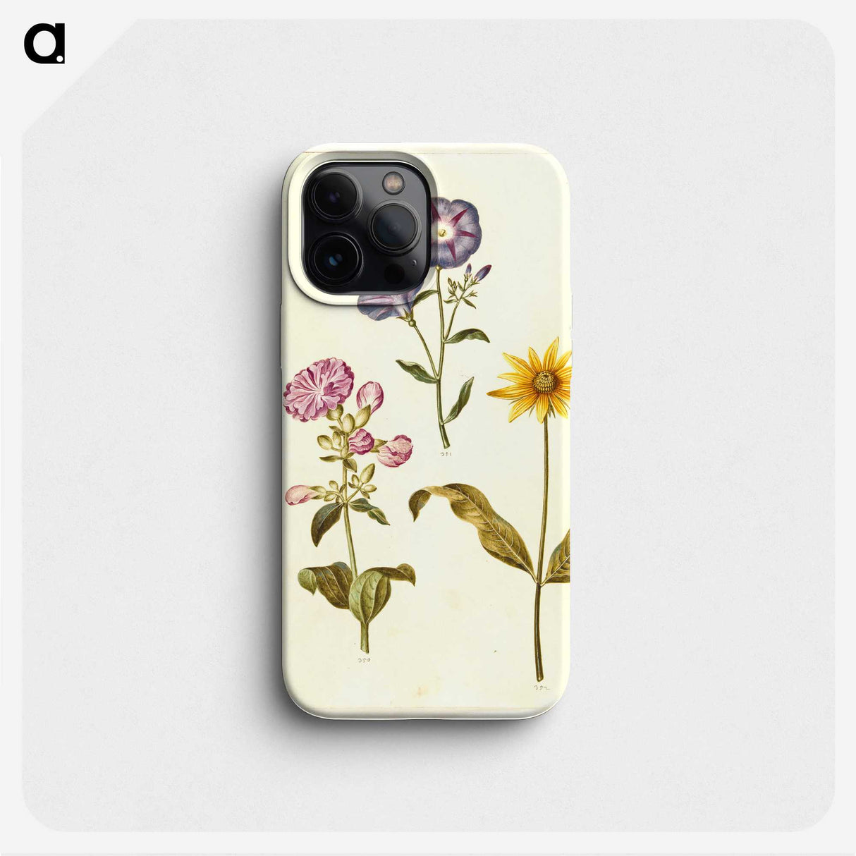 1-54_Maria-Sibylla-Merian_phone
