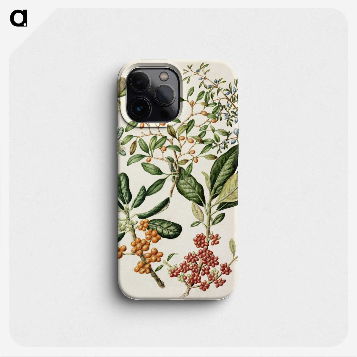 1-54_Native-Flowering-Plants-of-New-Zealand_phone