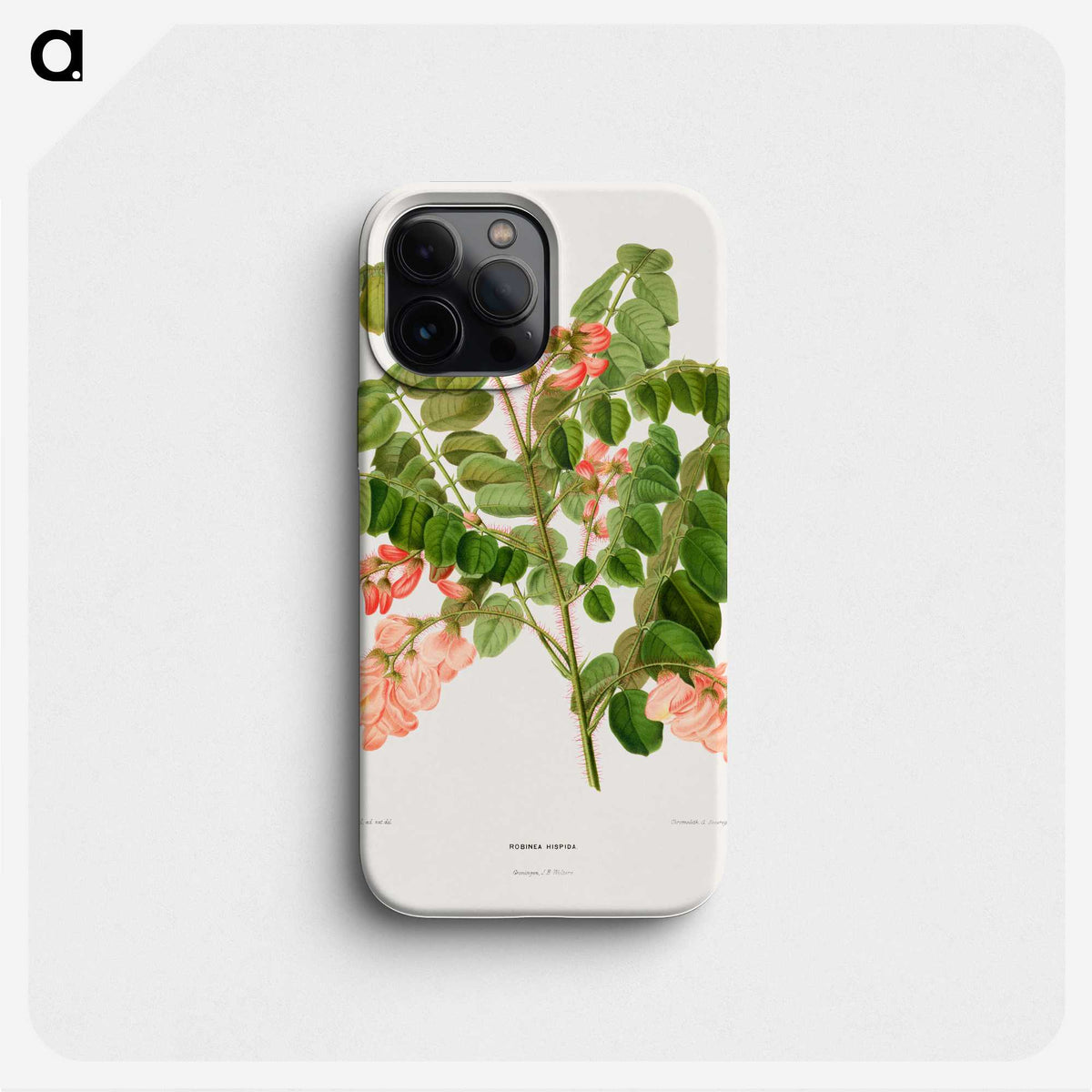 1-54_Nederlandsche-Flora-en-Pomona_phone