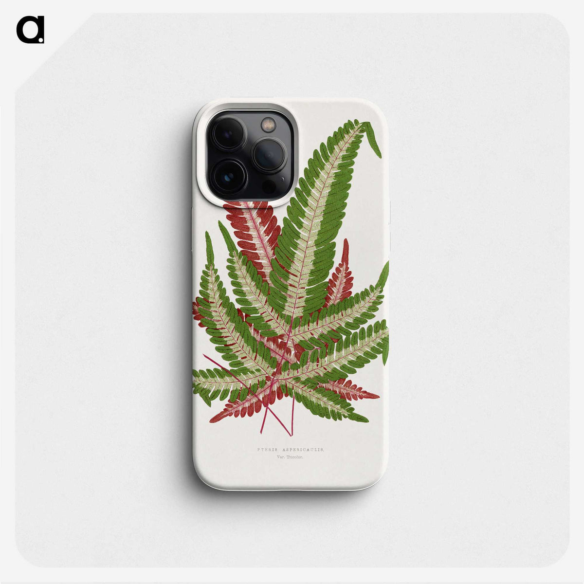 1-54_Plants-with-Colored-Foliage_phone