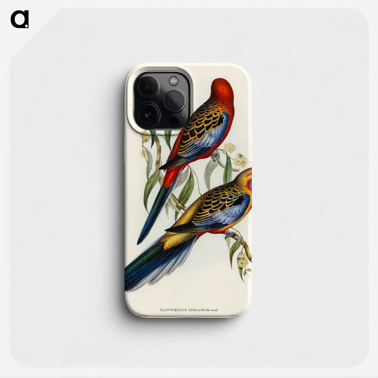 Adelaide Parakeet
- オーストラリアの鳥 Phone Case.