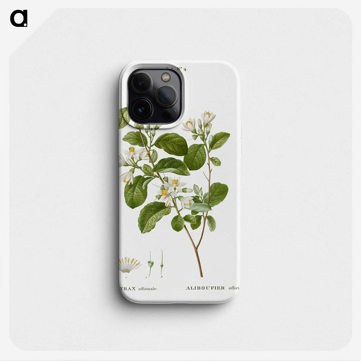 1-54_Treatise-on-Trees-and-Shrubs_phone