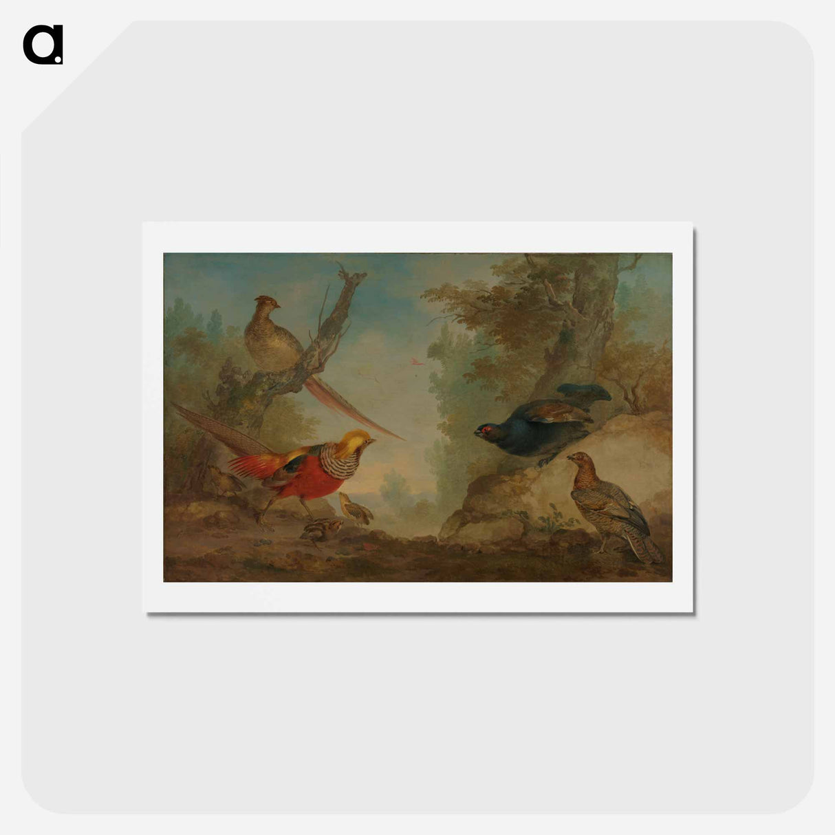 Pheasants - アールト シューマン Postcard.