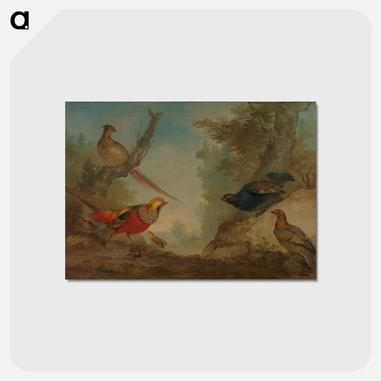 Pheasants - アールト シューマン Postcard.