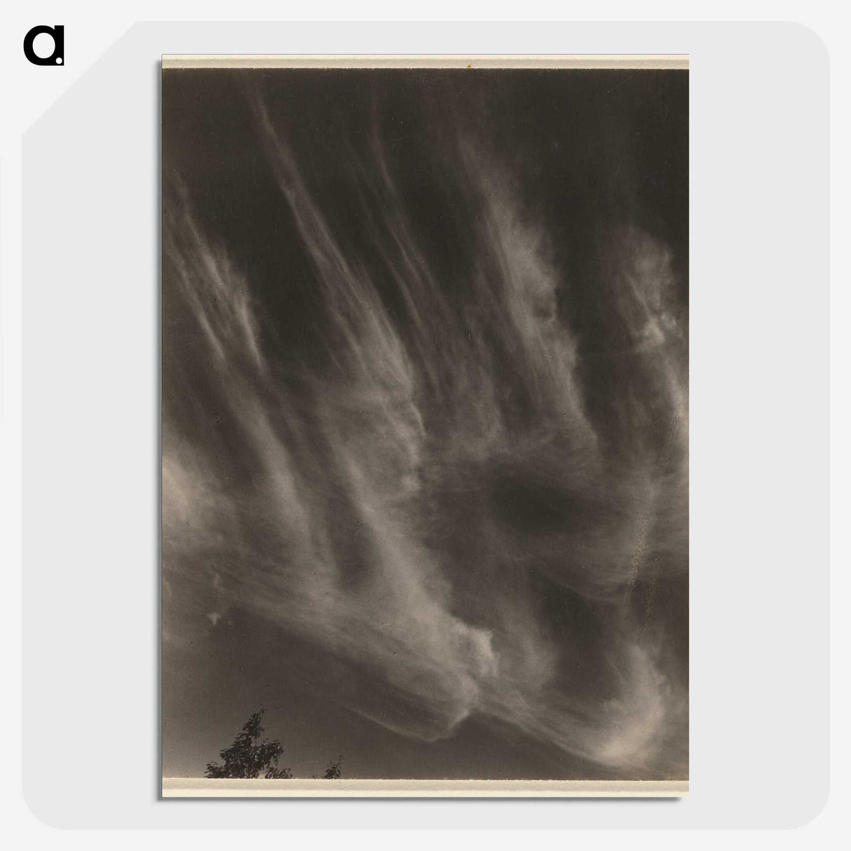 1-55_Alfred-Stieglitz_picture-crop