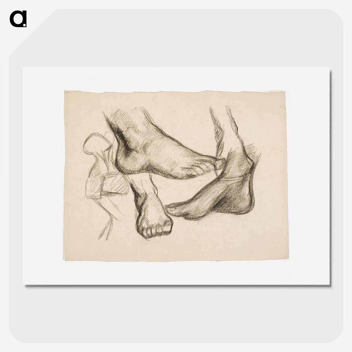 1-55_Alfred-William-Finch_picture