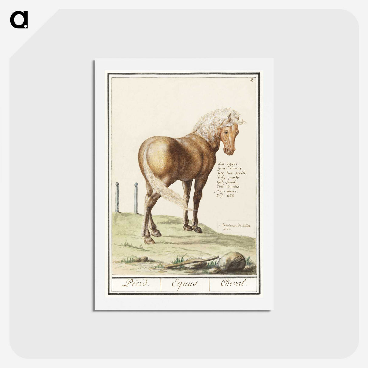 1-55_Anselmus-Boetius-de-Boodt_hagaki