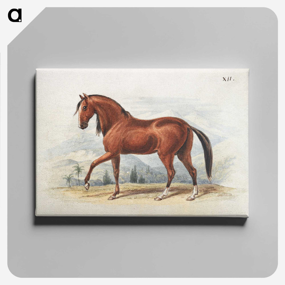 1-55_Charles-Hamilton-Smith_canvas