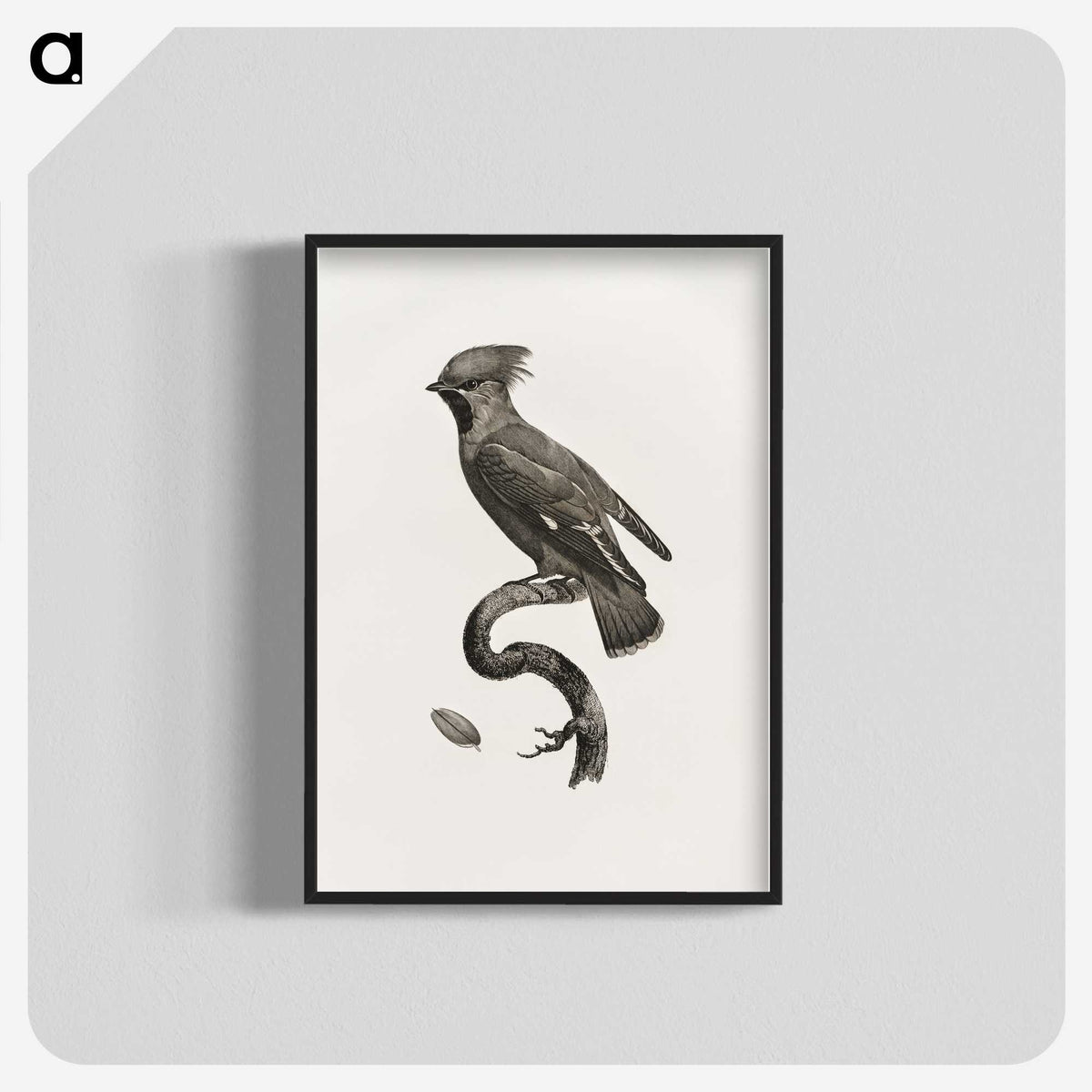 1-55_Des-Oiseaux-de-Paradis_blk-crop