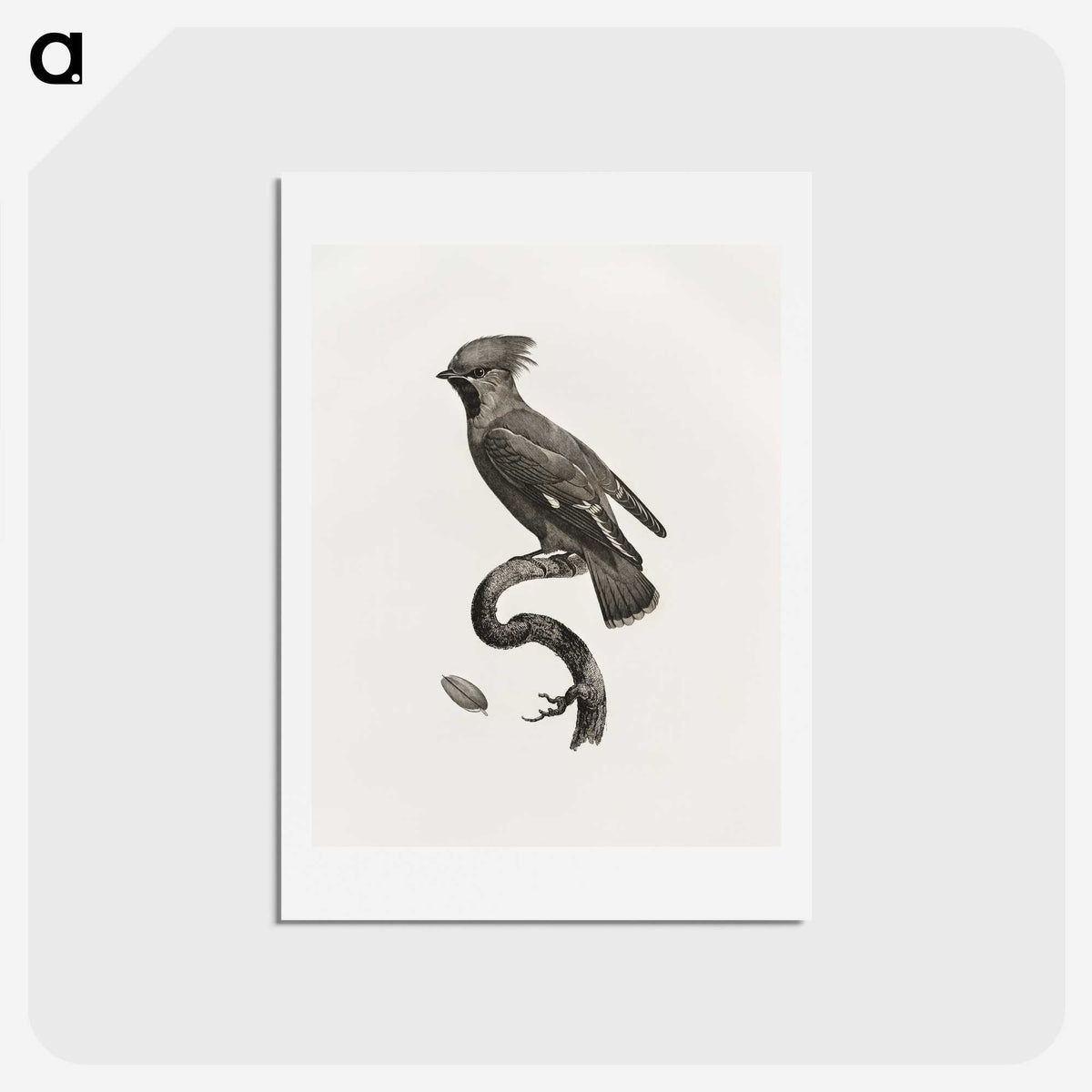 1-55_Des-Oiseaux-de-Paradis_hagaki