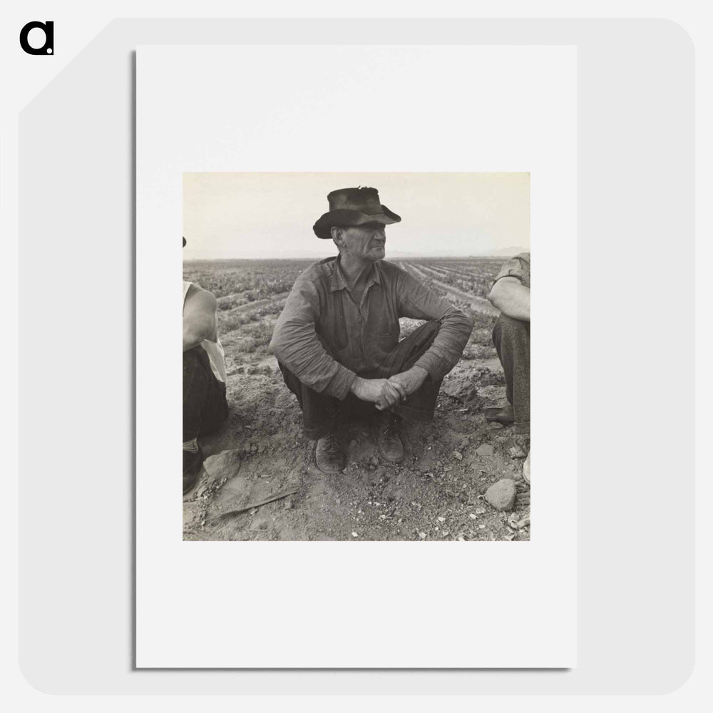 Waiting for Work on Edge of the Pea Field, Holtville, Imperial Valley, California - Dorothea Lange Poster.