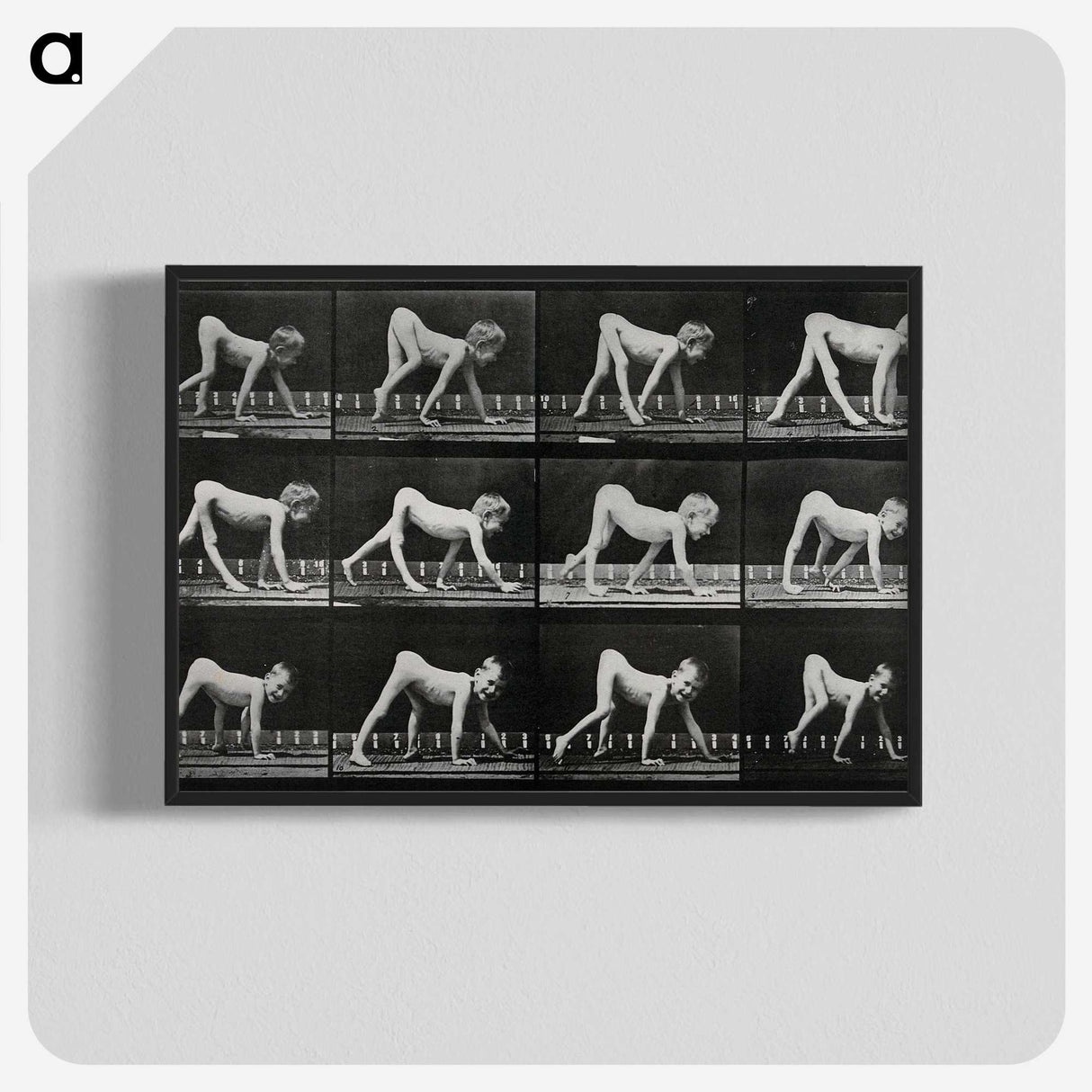 1-55_Eadweard-Muybridge_blk-crop