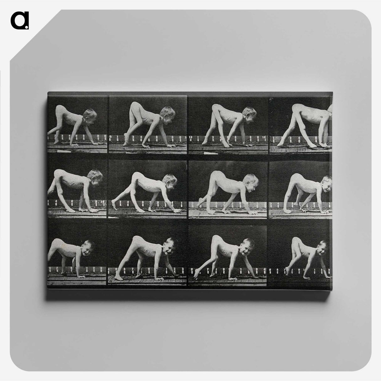 1-55_Eadweard-Muybridge_canvas