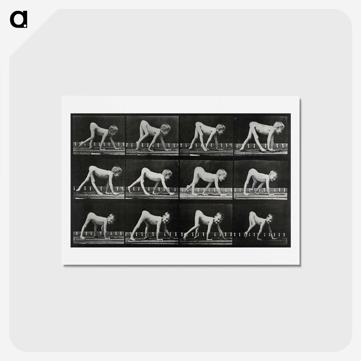 1-55_Eadweard-Muybridge_hagaki