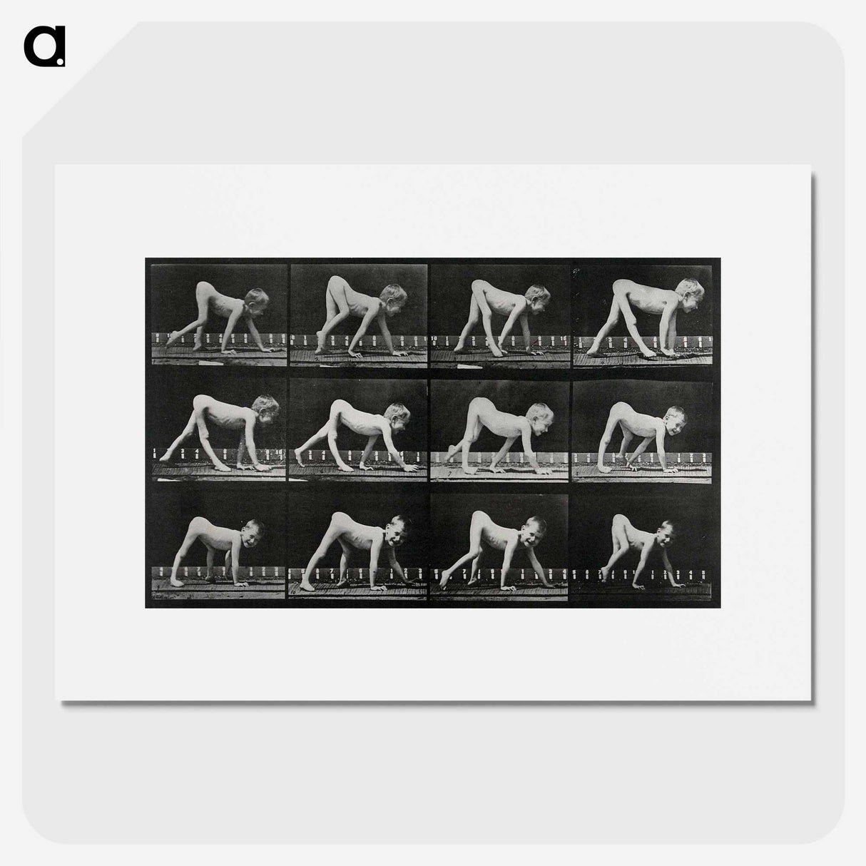 1-55_Eadweard-Muybridge_picture