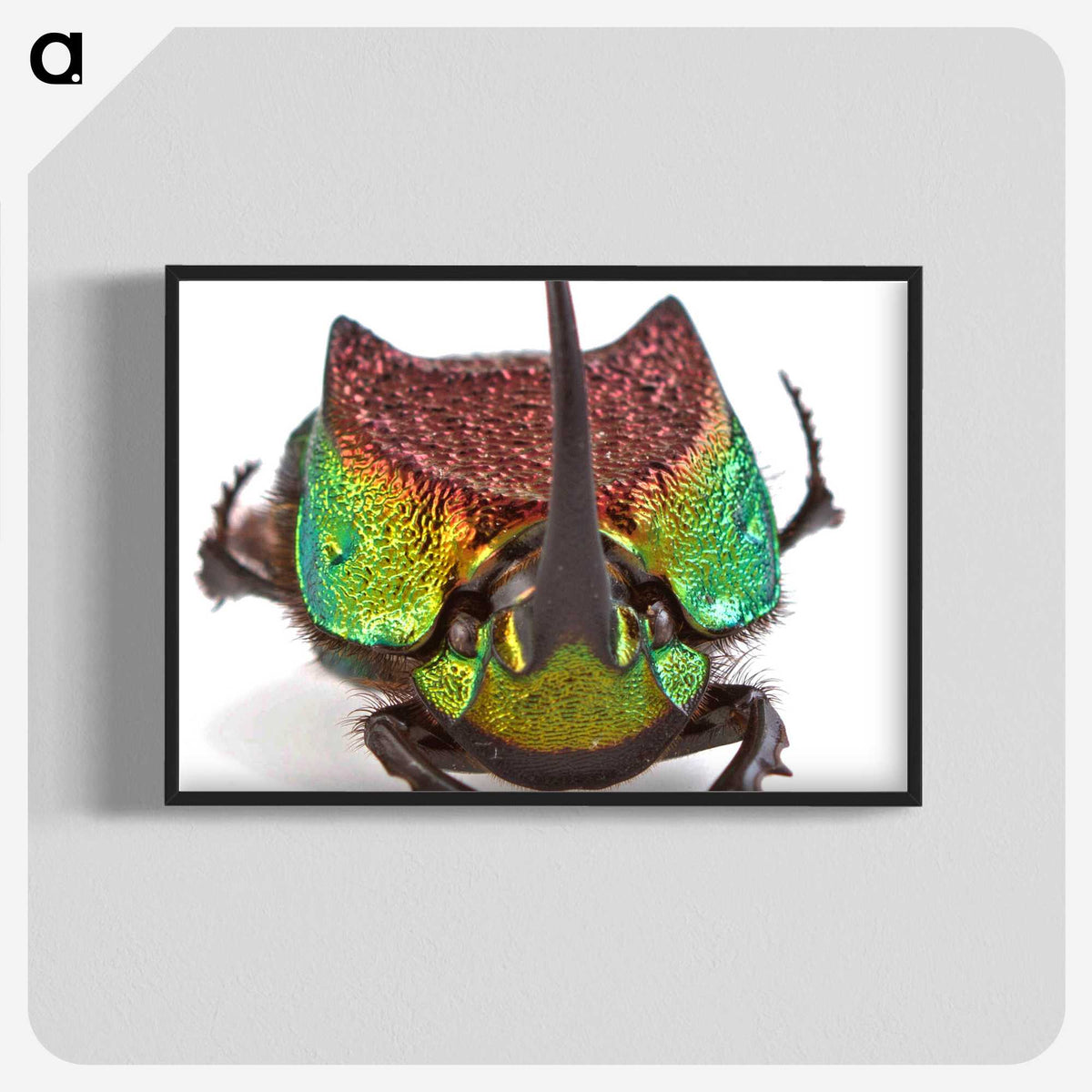 1-55_Insects-Unlocked-Project_blk-crop