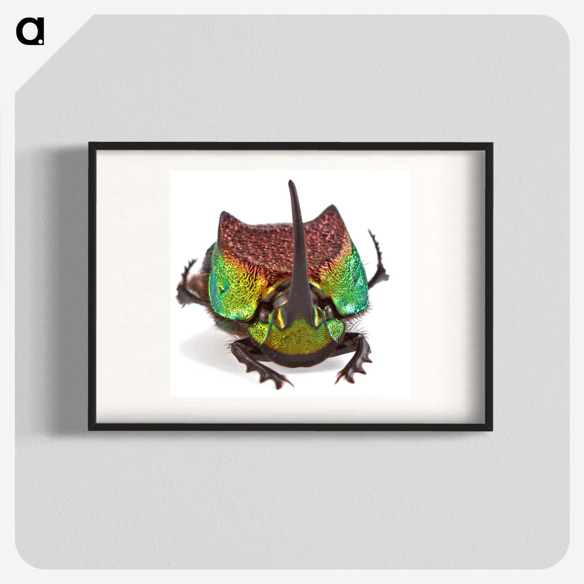 1-55_Insects-Unlocked-Project_blk