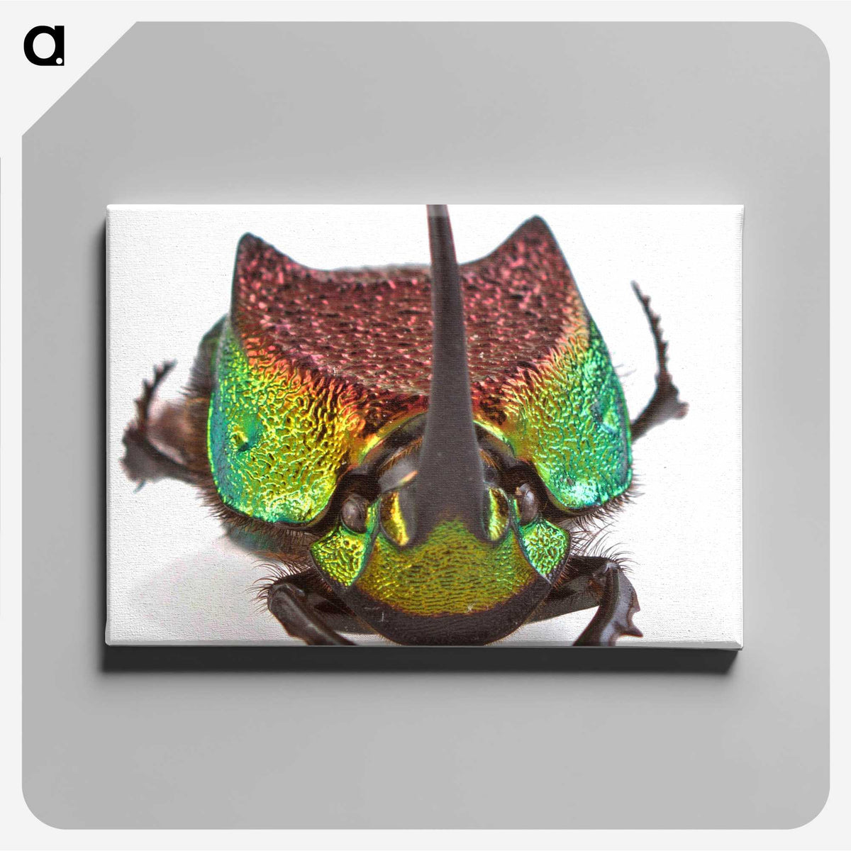 1-55_Insects-Unlocked-Project_canvas
