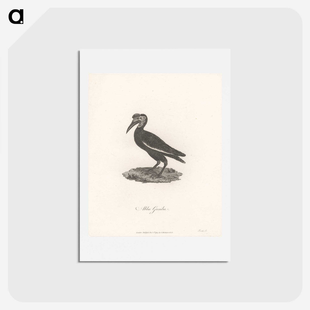 1-55_James-Heath_hagaki