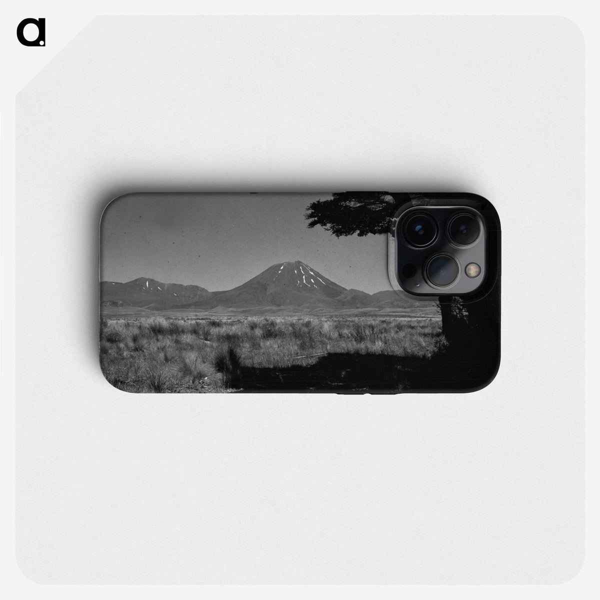1-55_James-Walter-Chapman-Taylor_phone