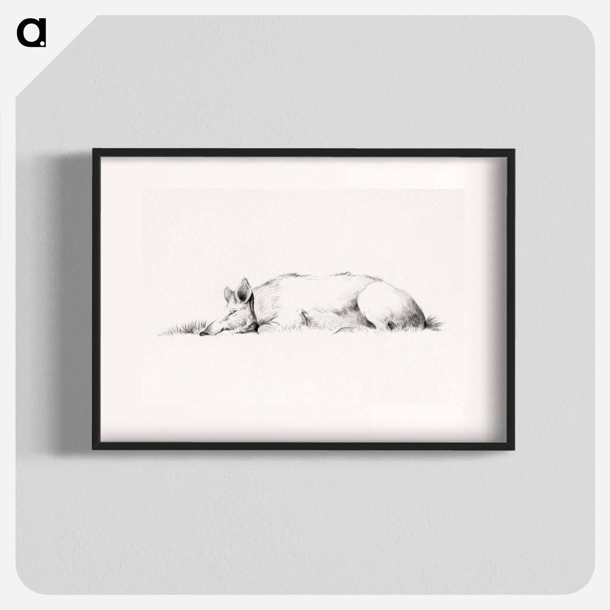 Lying pig drawing in high resolution by Jean Bernard - ジャン ベルナール Poster.