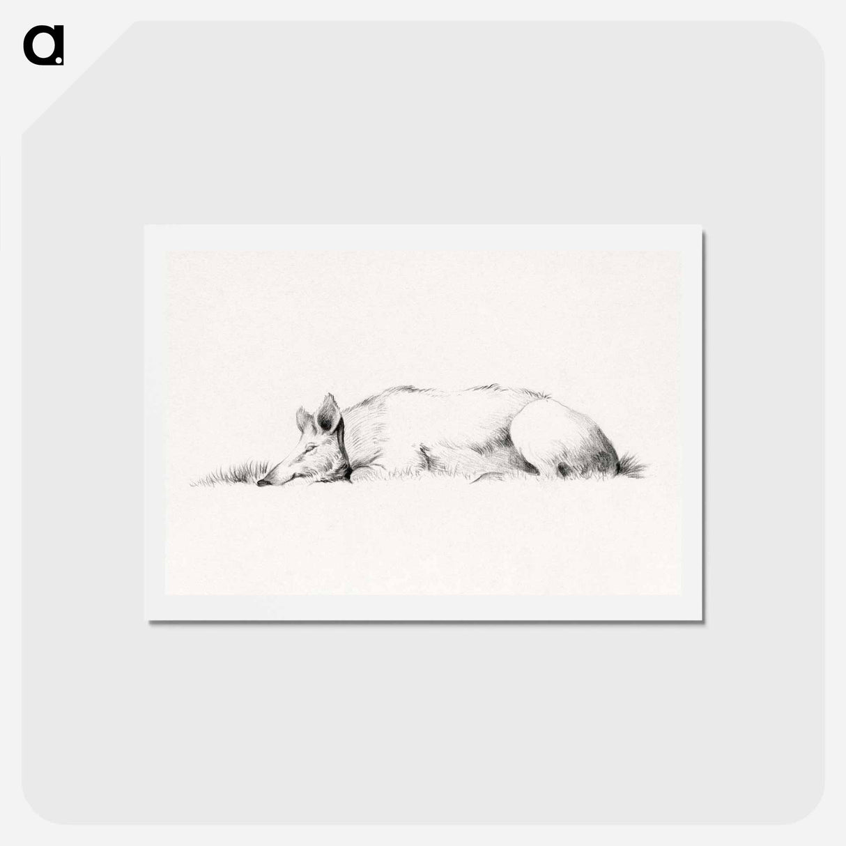 アートポストカード-Lying pig drawing in high resolution by Jean Bernard - ジャン ベルナール Postcard.