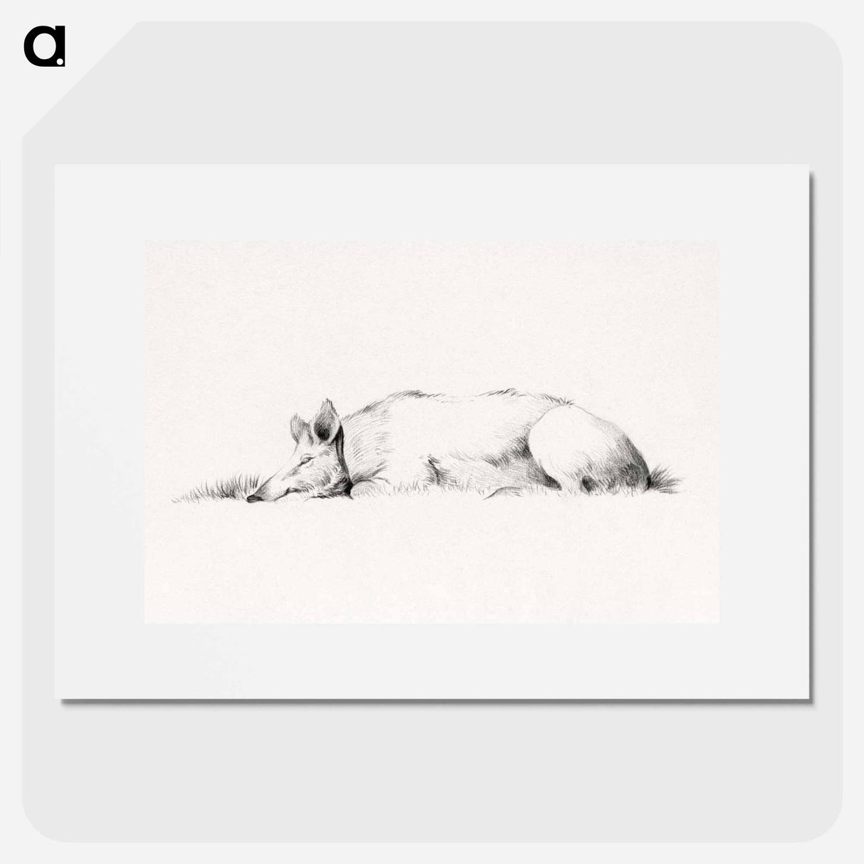 Lying pig drawing in high resolution by Jean Bernard - ジャン ベルナール Poster.