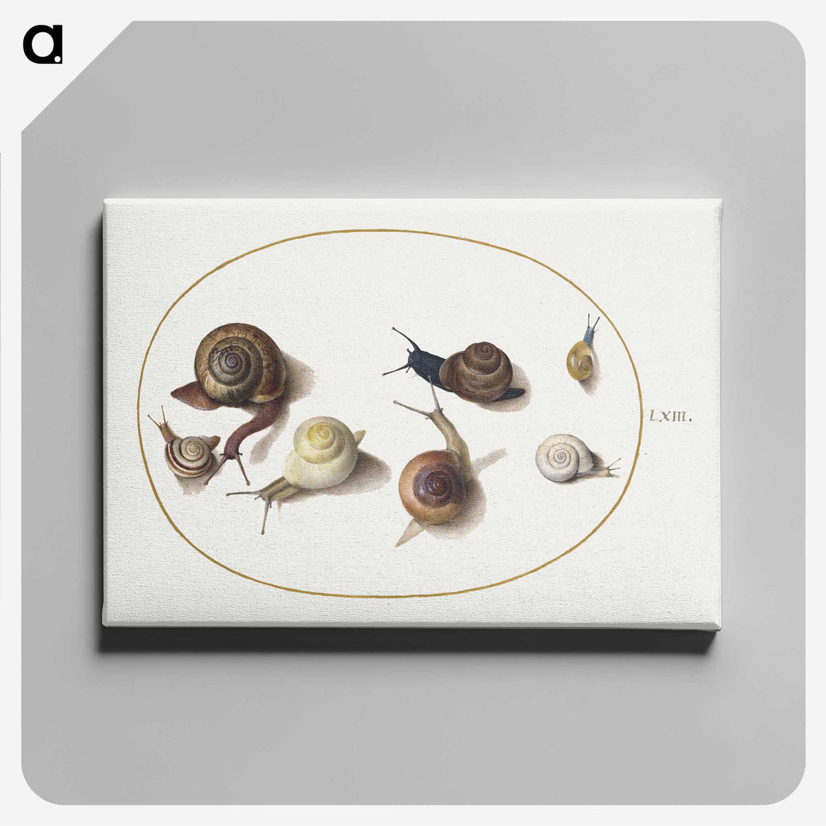 1-55_Joris-Hoefnagel_canvas
