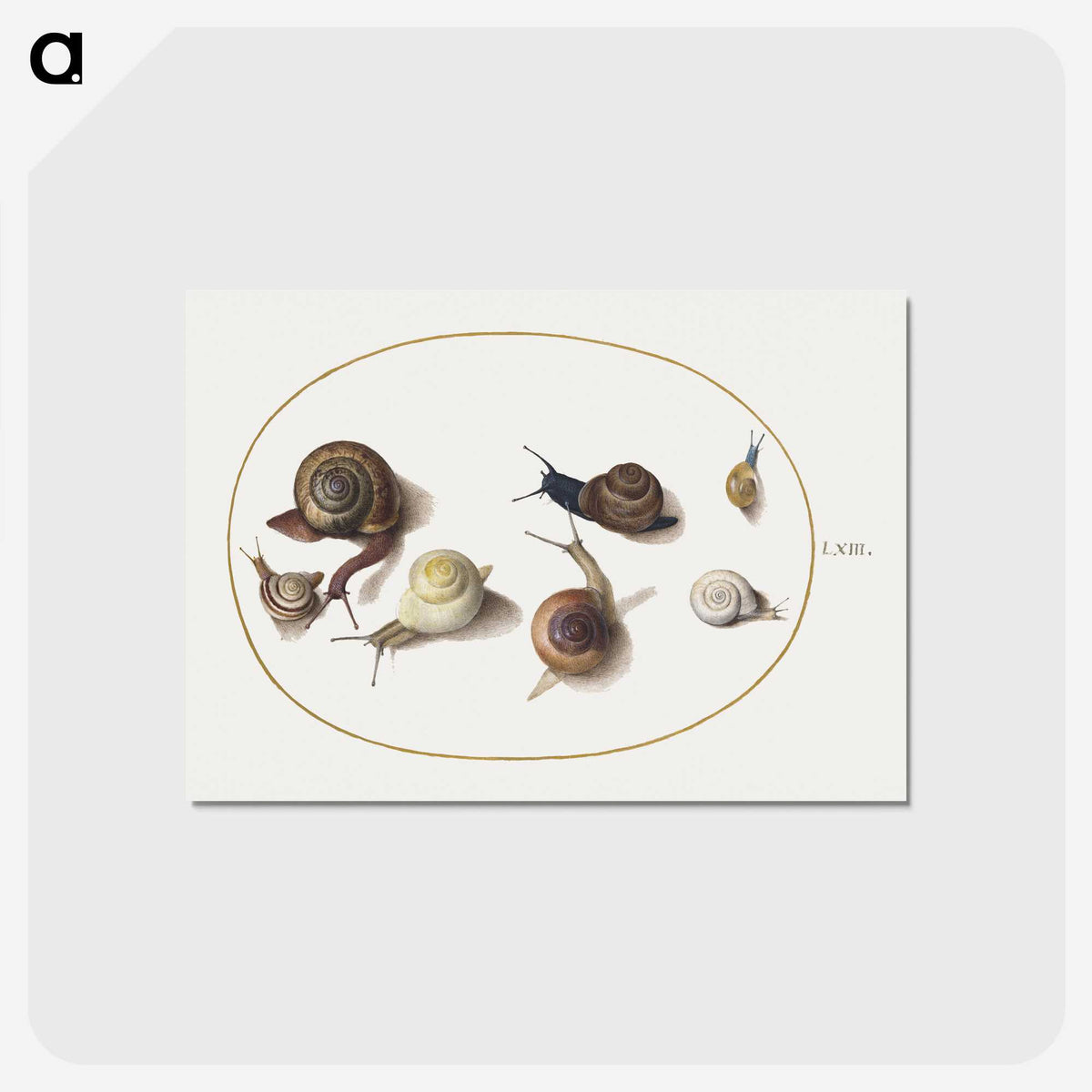1-55_Joris-Hoefnagel_postcard