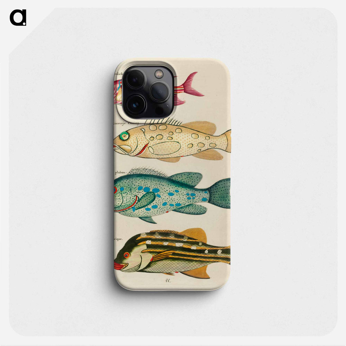 Moluccan Fishes
- ルイ ルナール Phone Case.