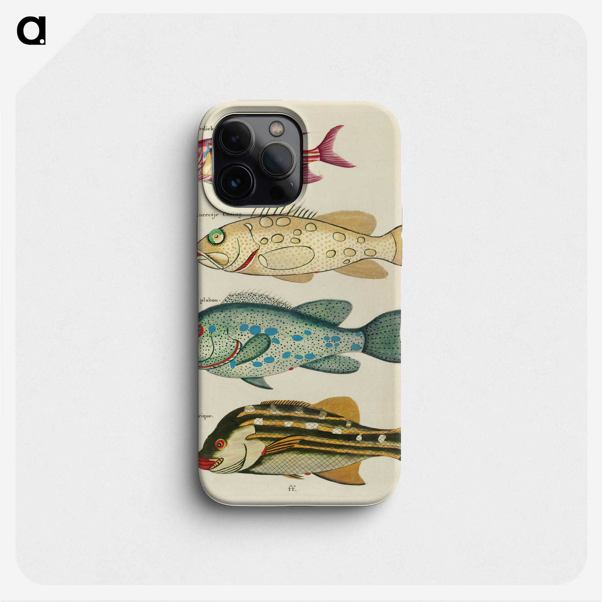 1-55_Louis-Renard_phone