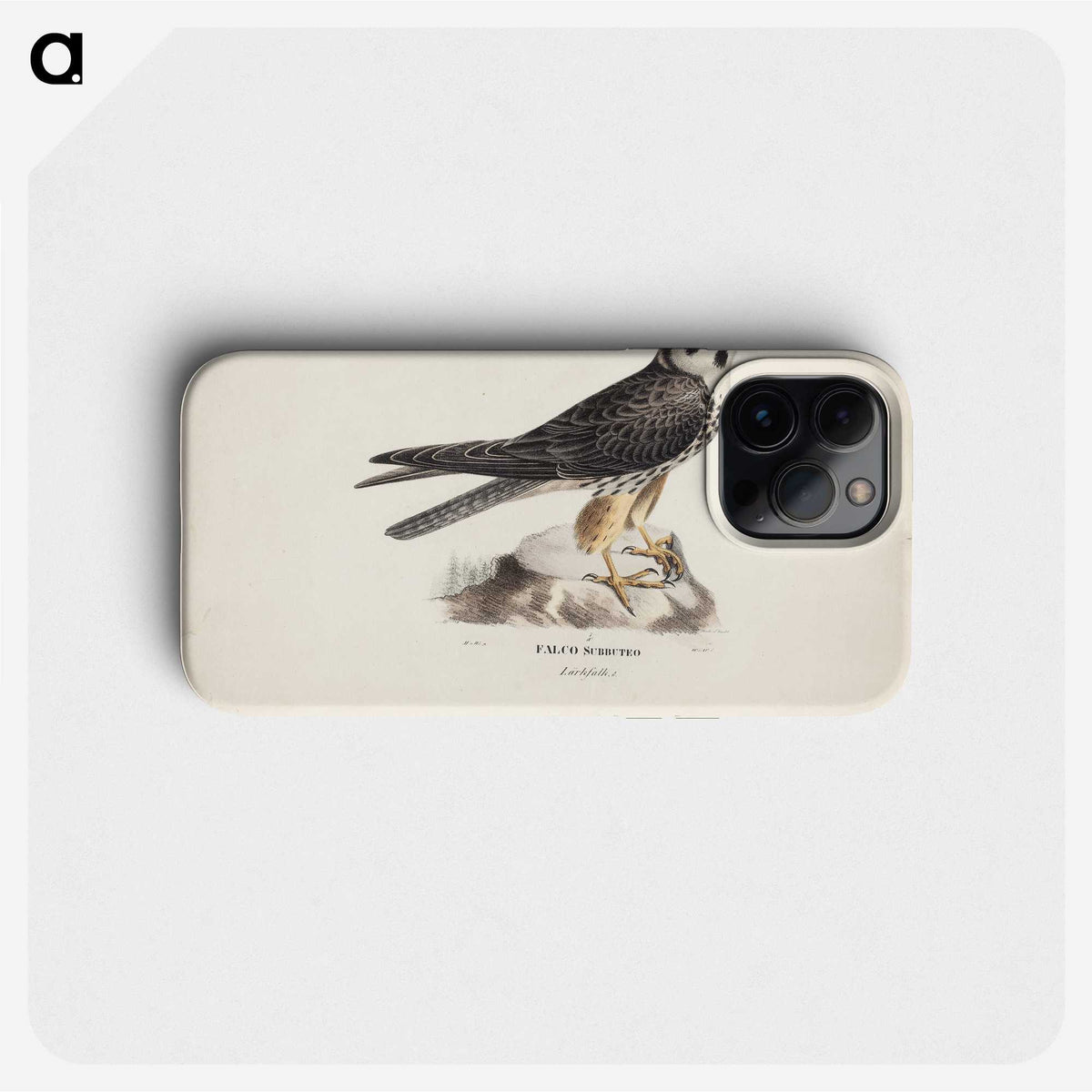 1-55_Magnus-von-Wright_phone