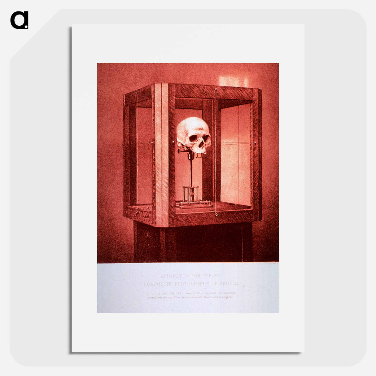 アートポスター-Apparatus for Taking Composite Photographs of Skulls: No. 6
- 国立医学図書館 Poster.