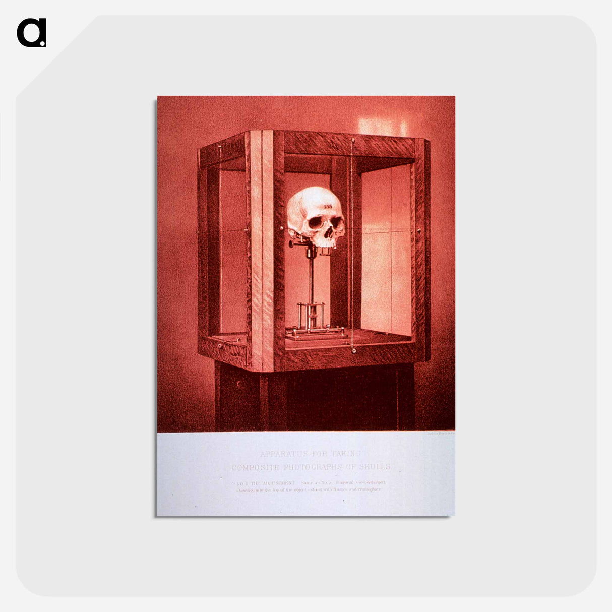 アートポストカード-Apparatus for Taking Composite Photographs of Skulls: No. 6
- 国立医学図書館 Postcard.