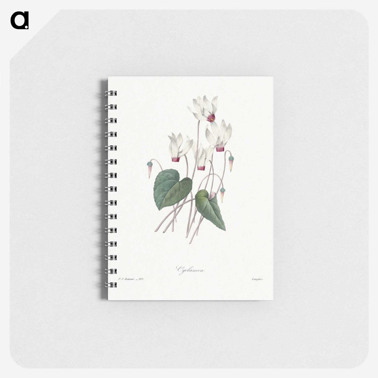 1-55_Pierre-Joseph-Redoute_memo