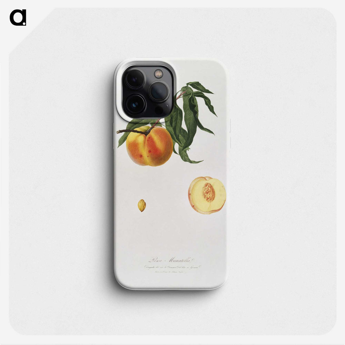1-55_Pomona-Italiana_phone