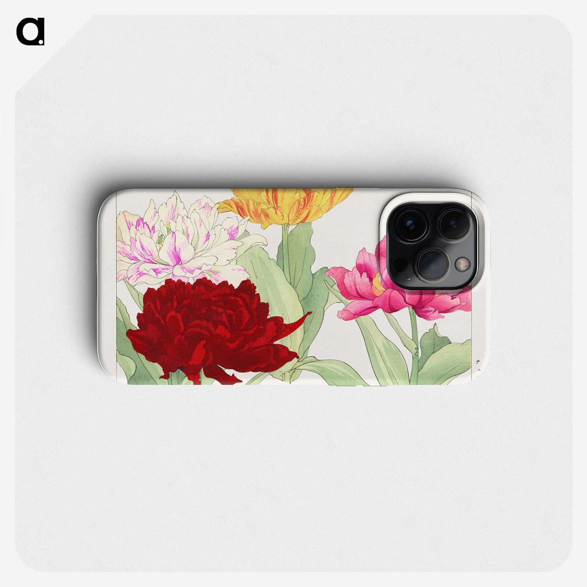 1-55_Seiyo-Soka-Zufu_phone