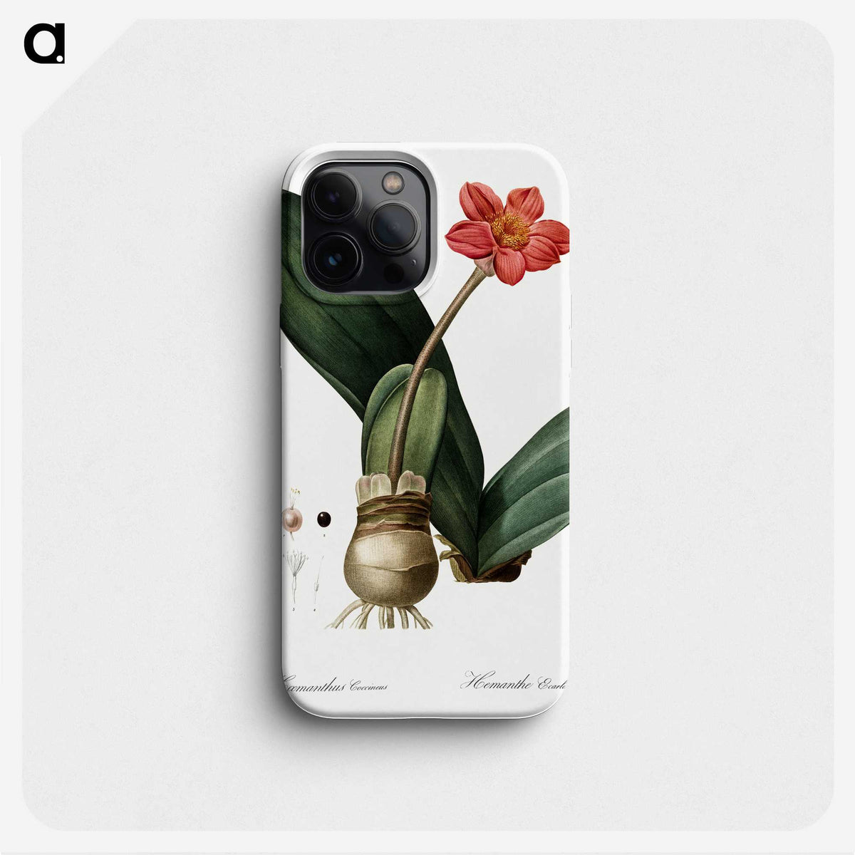 1-55_The-Lilies_phone