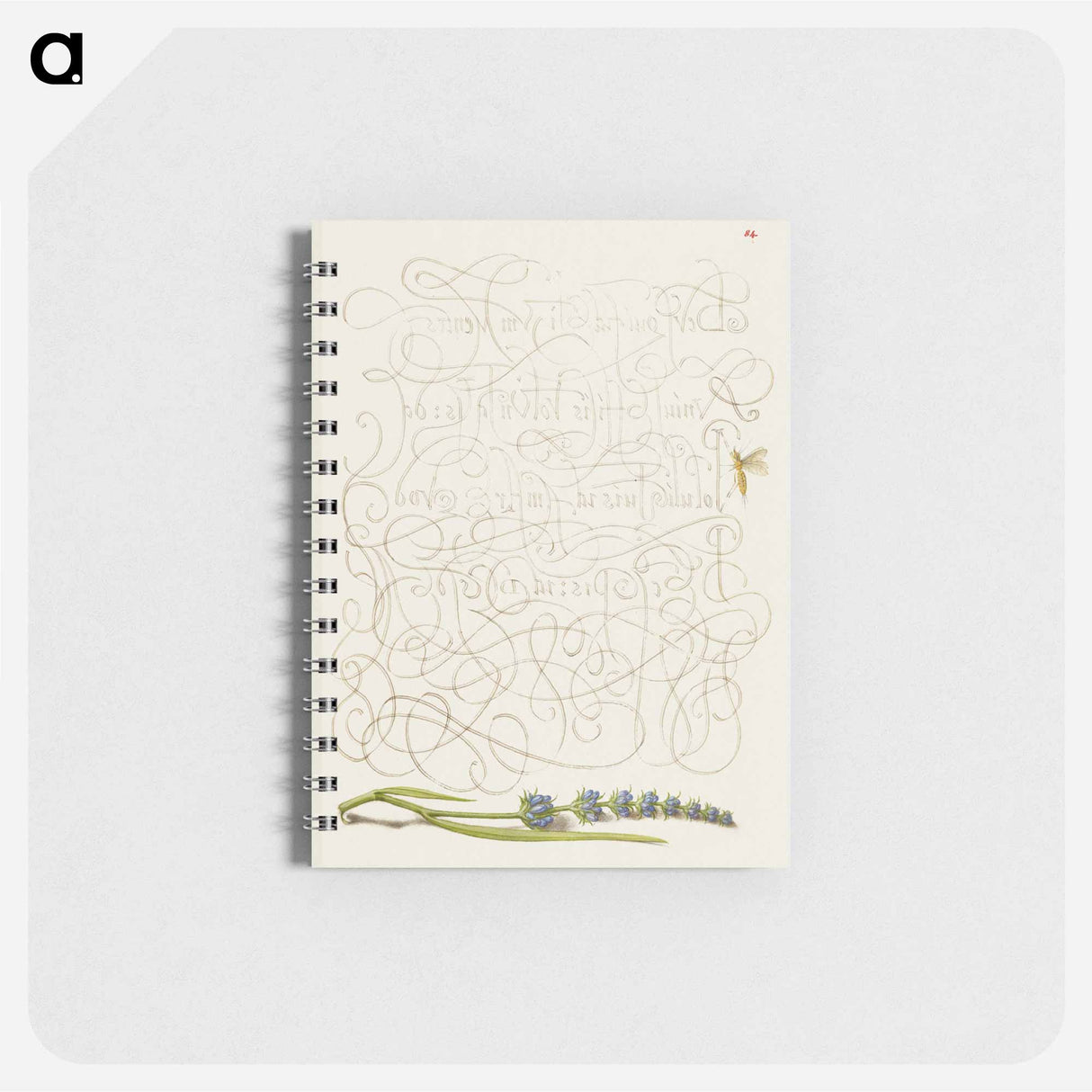 アートメモ帳-Insect and Hyssop from Mira Calligraphiae Monumenta
- 書道のお手本 Memo.