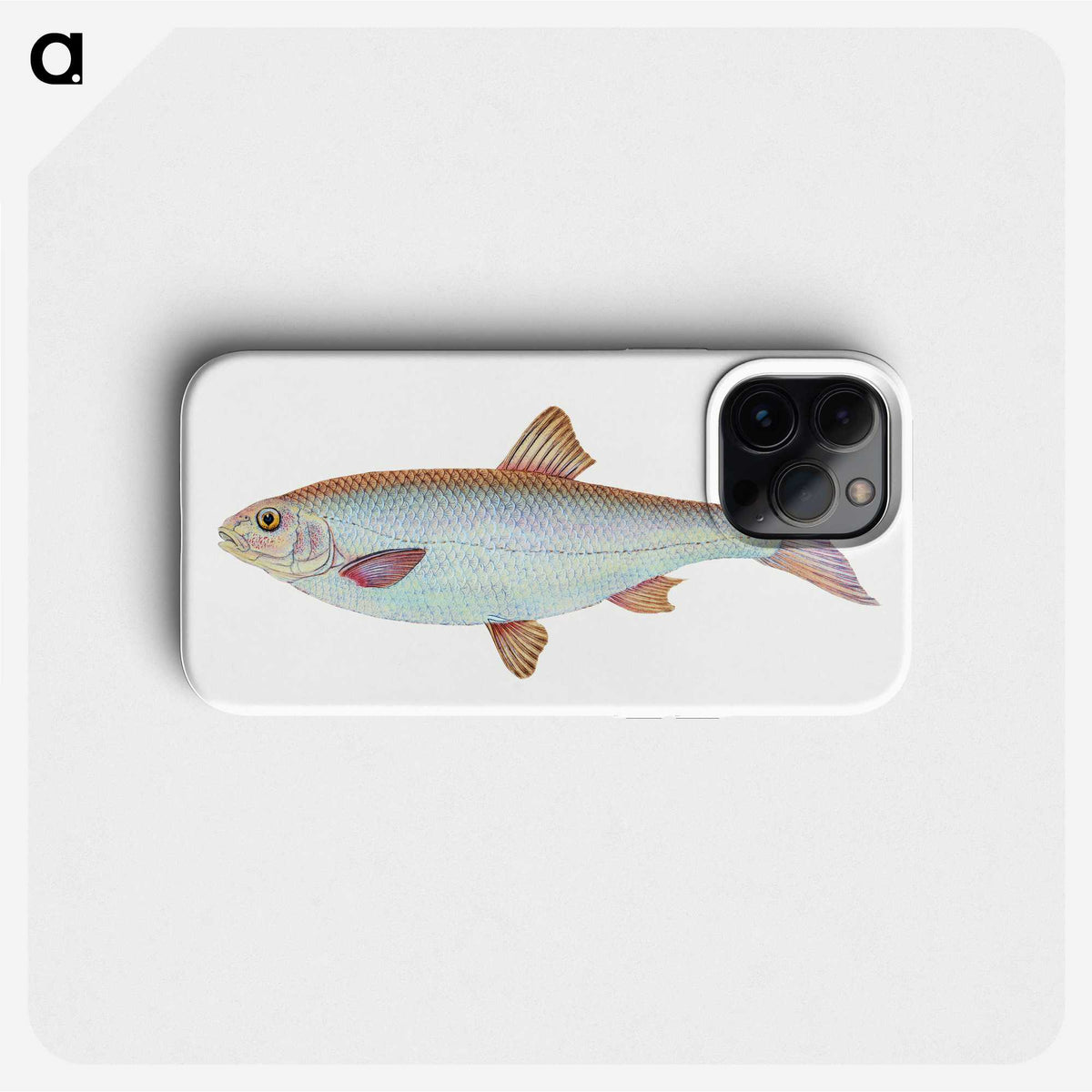 1-55_The-Natural-History-of-British-Fishes_phone
