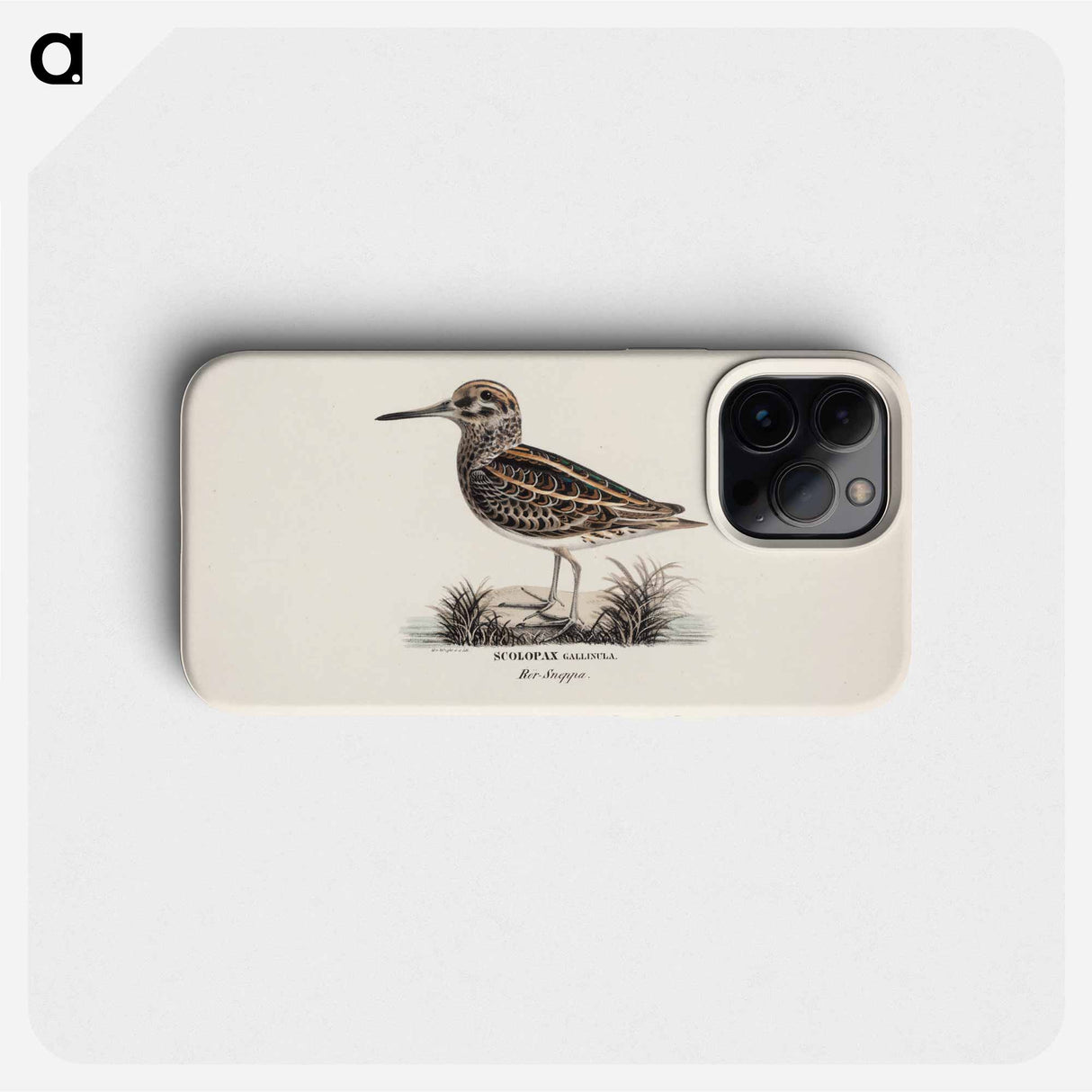 Jack snipe - Wilhelm von Wright Phone Case.