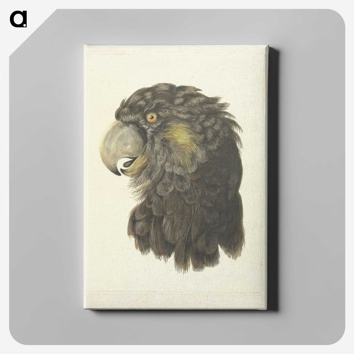 1-56_Aert-Schouman_canvas