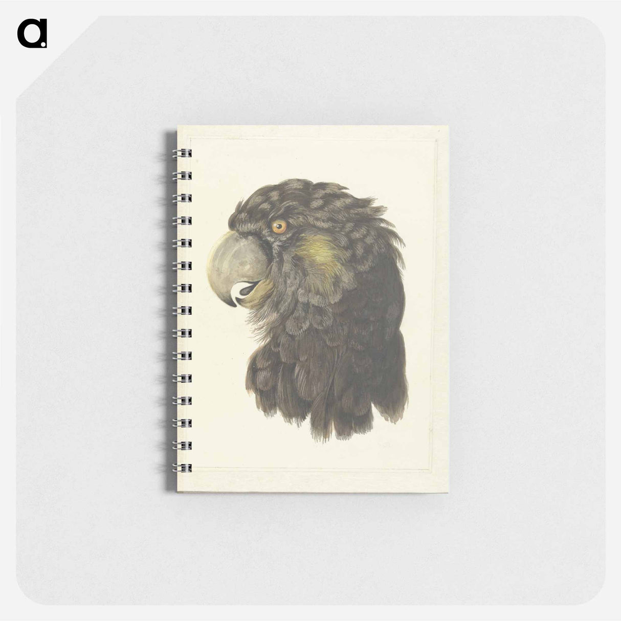 Head of a Cockatoo - アールト シューマン Memo.