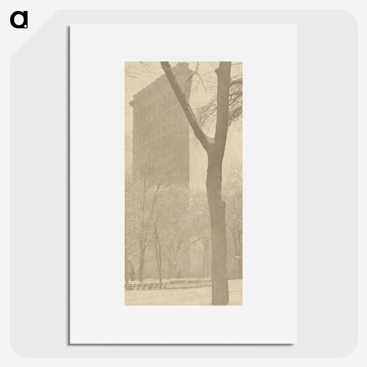 1-56_Alfred-Stieglitz_picture