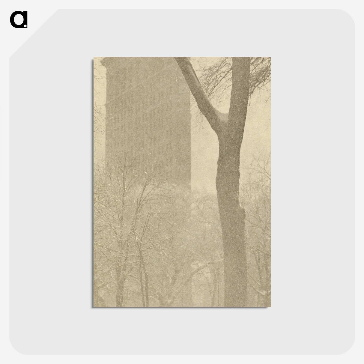 1-56_Alfred-Stieglitz_postcard