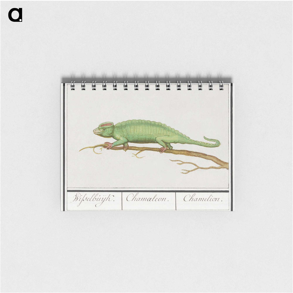 1-56_Anselmus-Boetius-de-Boodt_memo