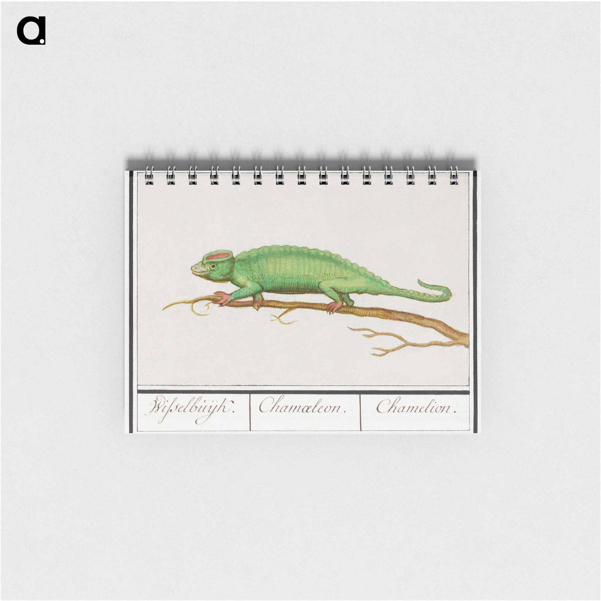 アートメモ帳-Chameleon - アンセルムス ボエティウス デ ブート Memo.