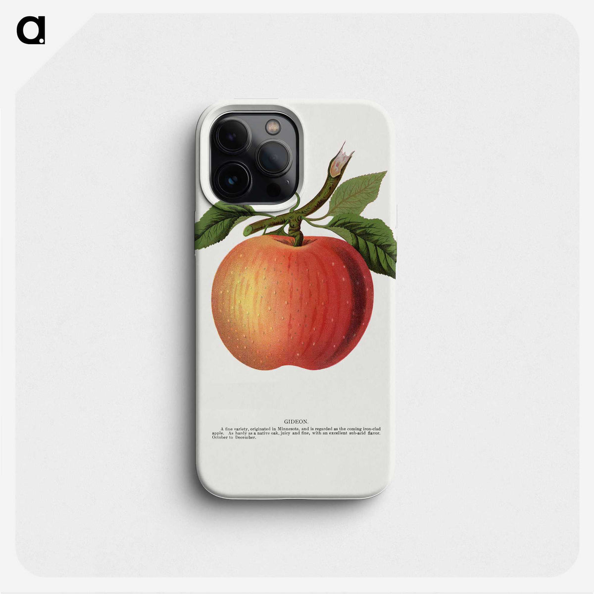 1-56_Botanical-Specimen-Plates_phone