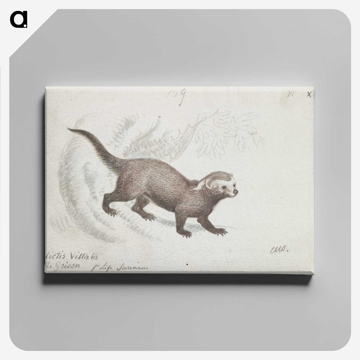 1-56_Charles-Hamilton-Smith_canvas